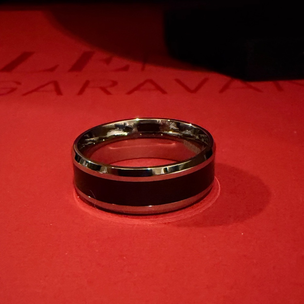 Titanium Men’s Band Ring with Shungite Accent